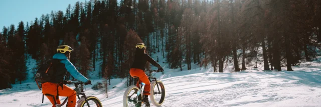 Fat Bike - Vars