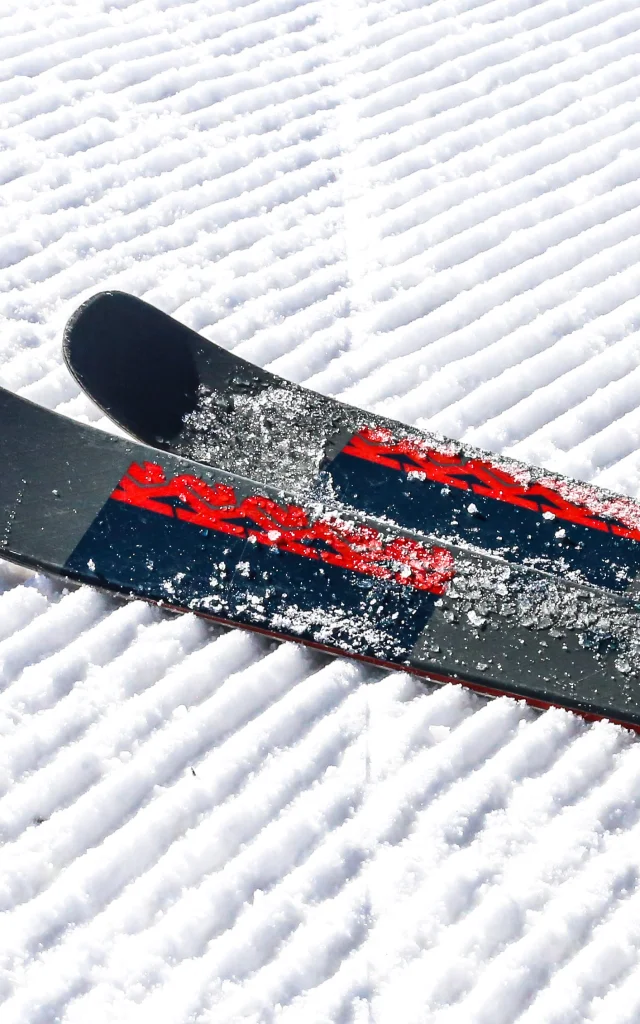 Lea Scappini Ot Vars 365