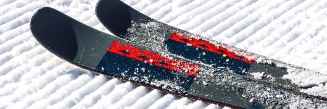 Lea Scappini Ot Vars 365