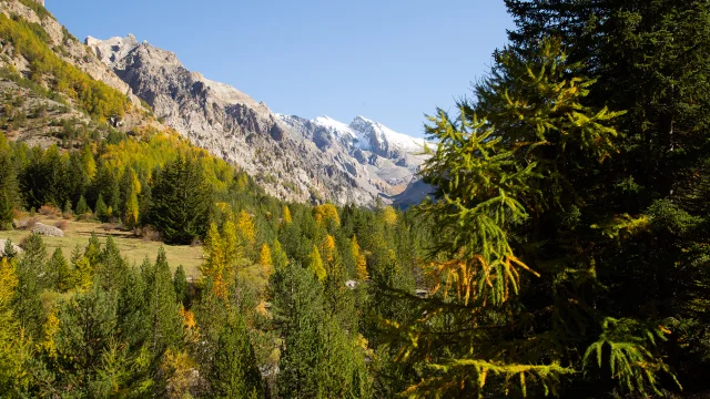 Val d'Escreins en automne
