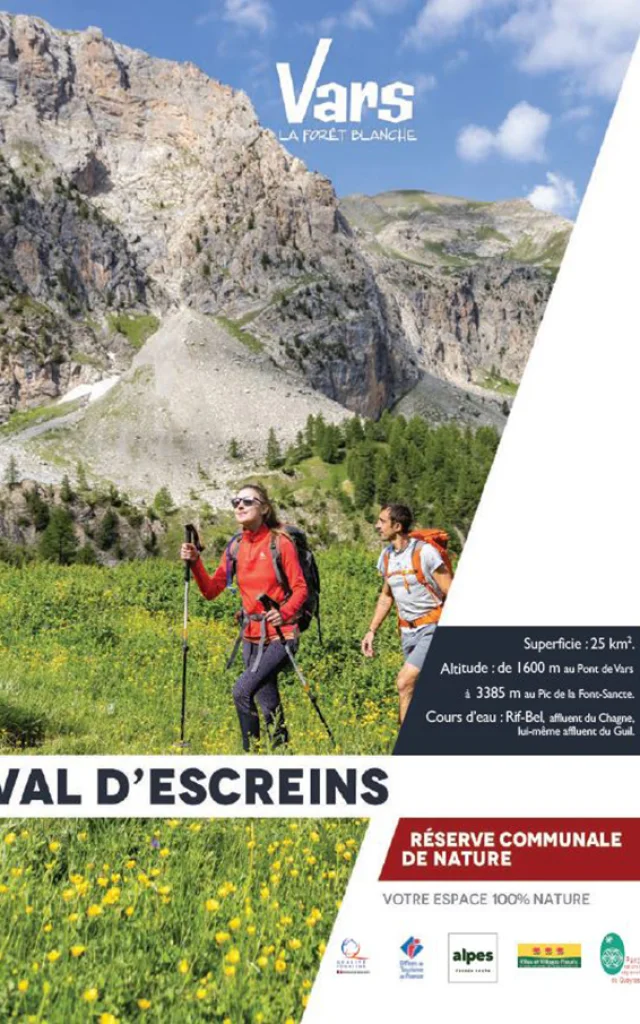Couverture Escreins Web