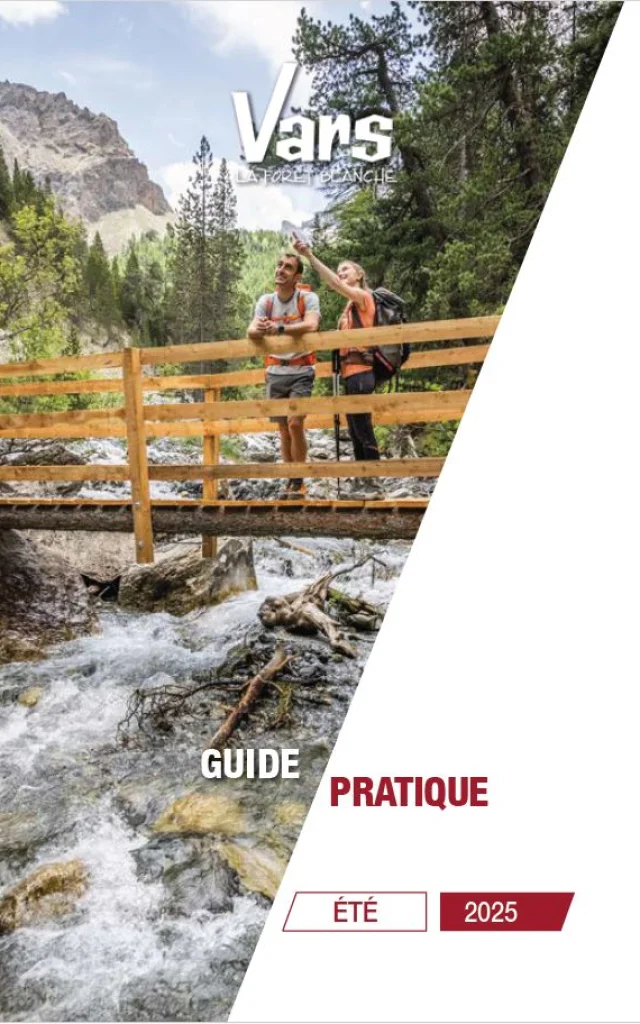 Couverture Guide Pratique
