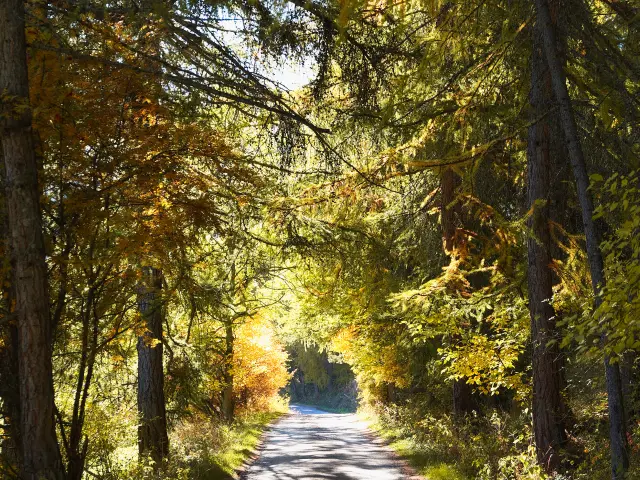 Vars Automne Vp 55bd