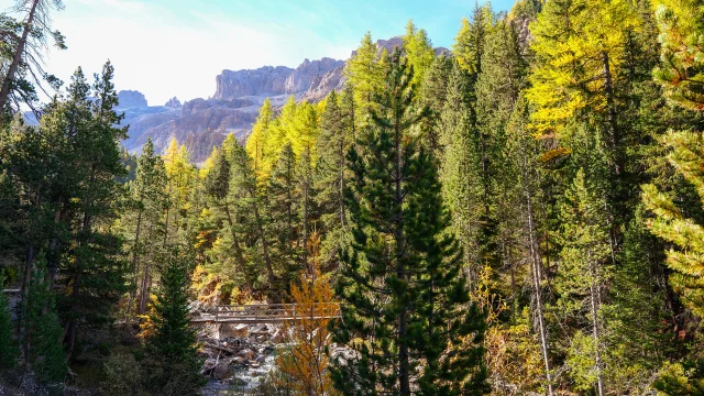 Escreins Automne