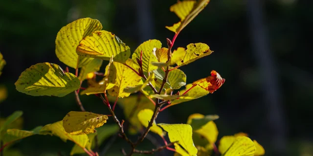 P1036687