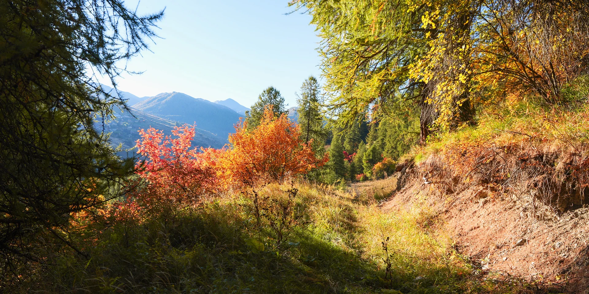Vars Autunno Vp 41bd