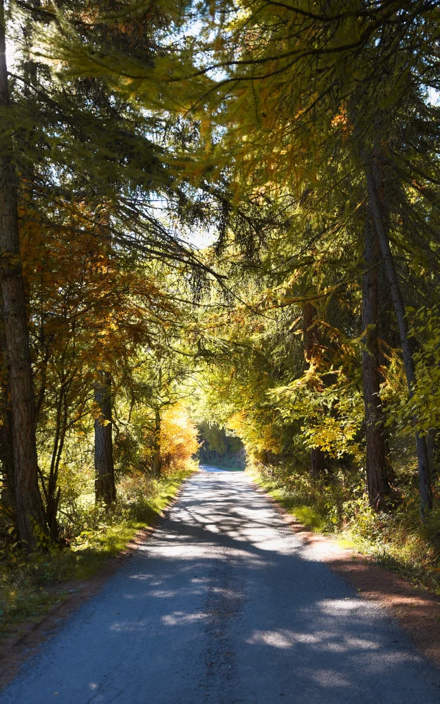 Vars Autunno Vp 55bd