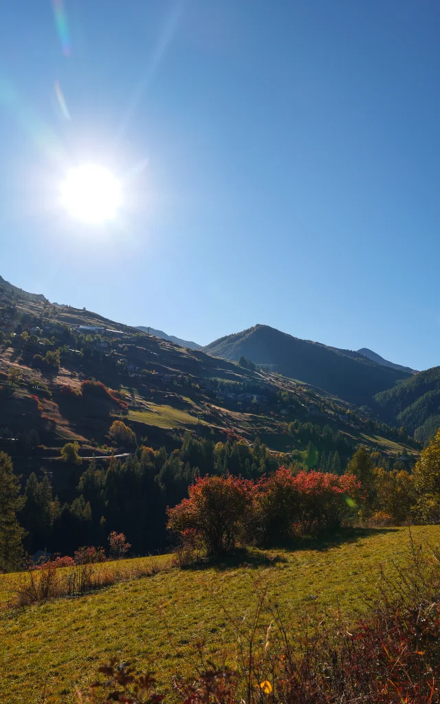 Vars Autunno Vp 77bd