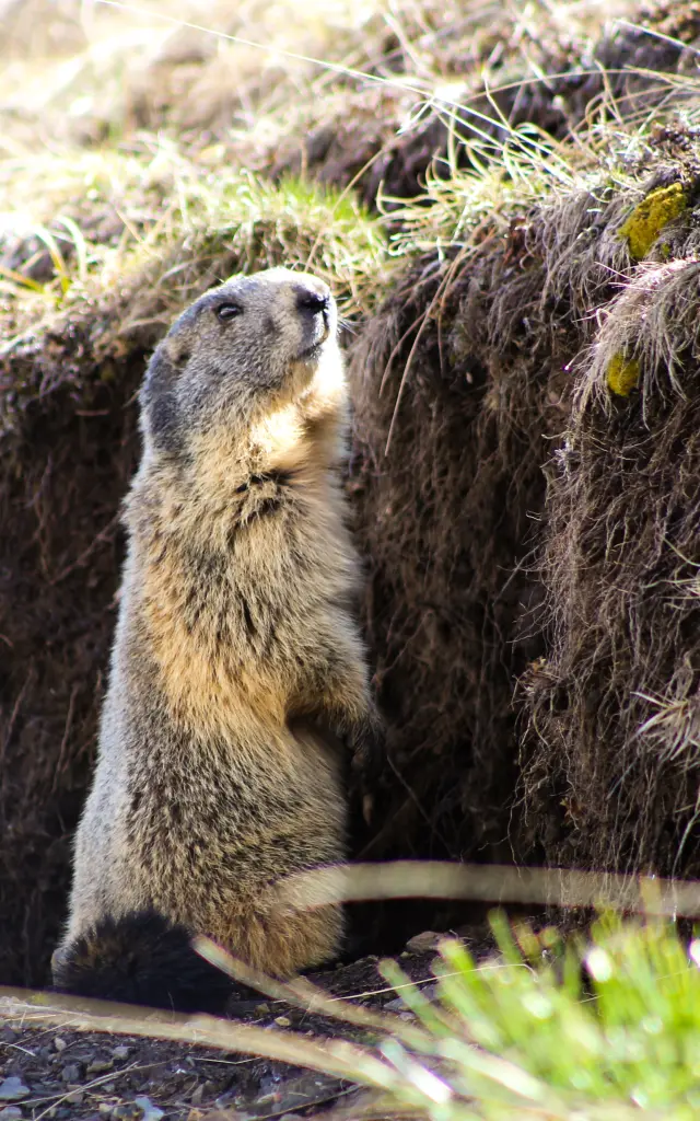 Ot Vars Lea Scappini 17052024 1