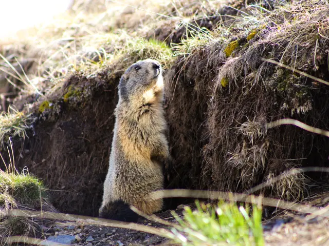 Ot Vars Lea Scappini 17052024 1