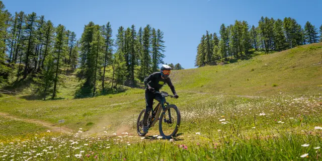 Mtb Team Up