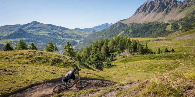 Mtb Team Up