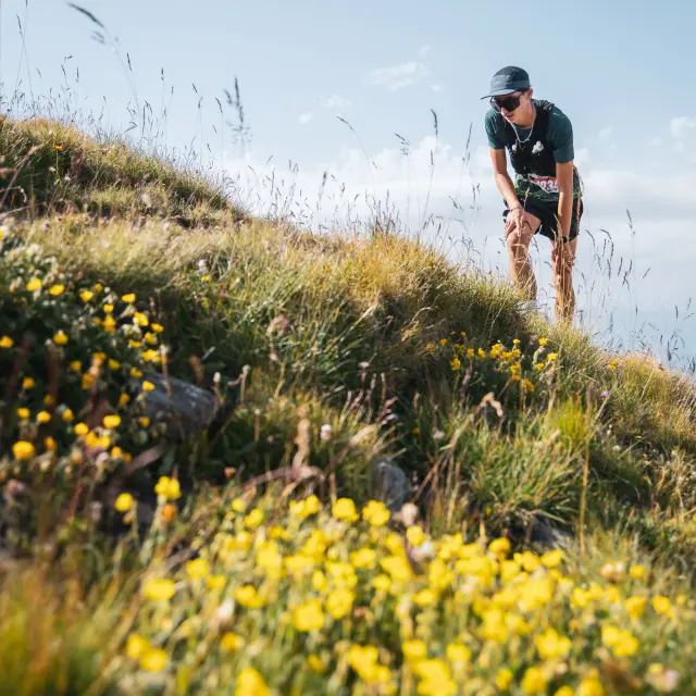Traileur à Vars pour le Vars Mountain Trail