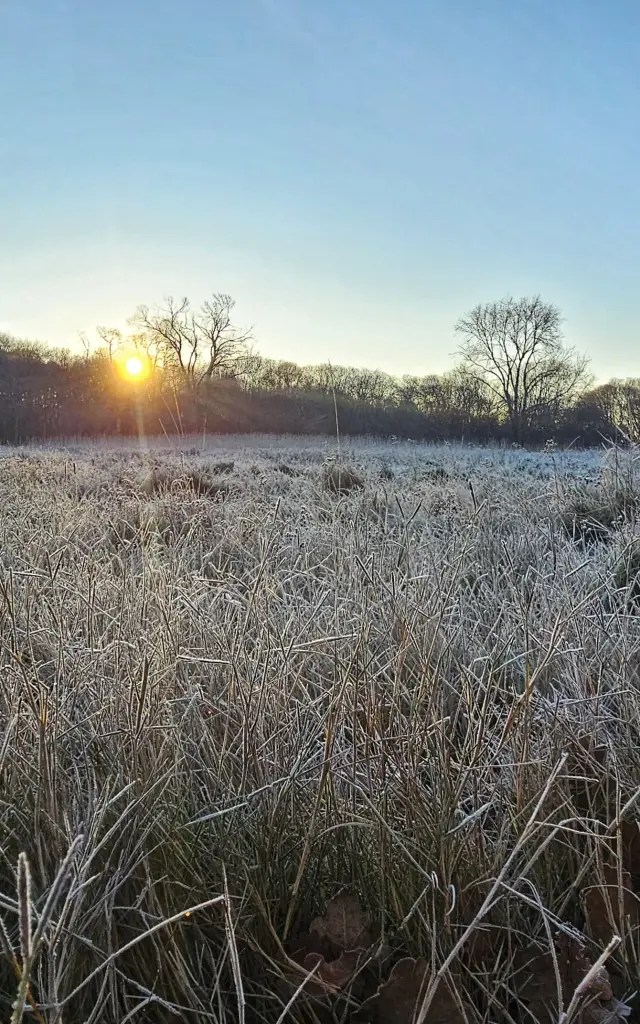 Whatsapp Image 2025 01 15 A 16.41.51 E49da30e