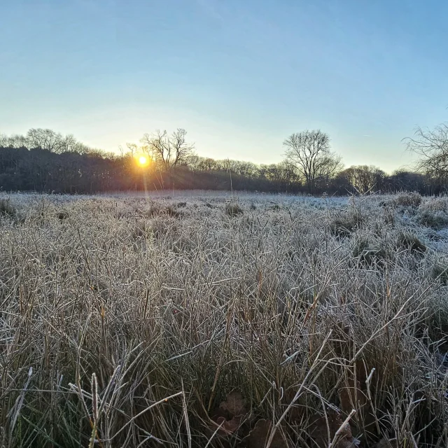 Whatsapp Bild 2025 01 15 A 16.41.51 E49da30e