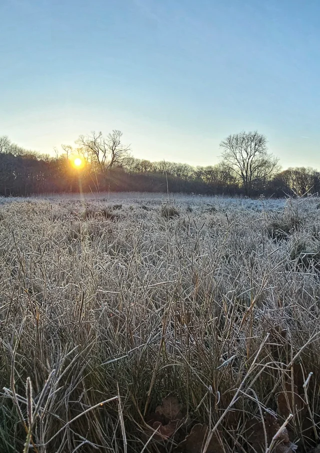 Whatsapp Image 2025 01 15 A 16.41.51 E49da30e