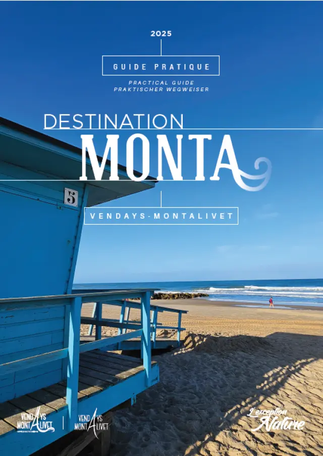 Capture Decran 2025 03 27 162449