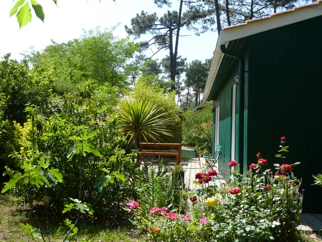 Terrasse Sud