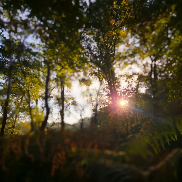 Instagram #monta