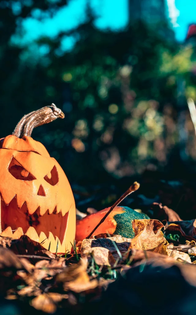 Pexels Chetanvlad 3051519 2