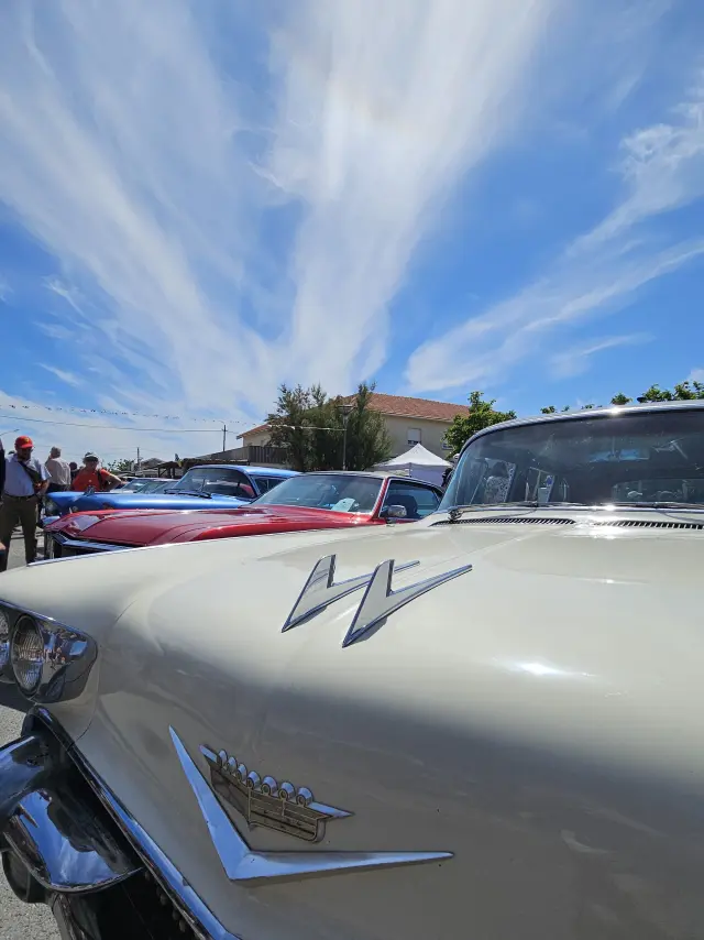 20250518 122143 Rotated