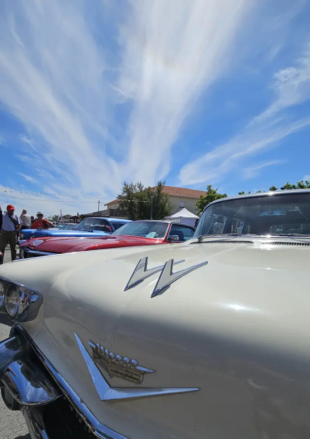 20250518 122143 Rotated