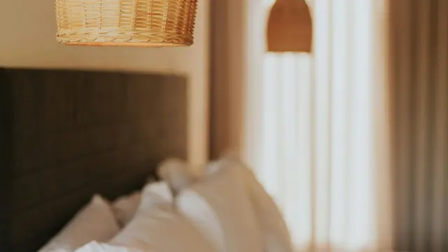 Pexels Leticia Alvares 1805702 31145160