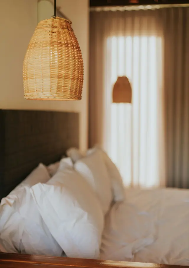 Pexels Leticia Alvares 1805702 31145160