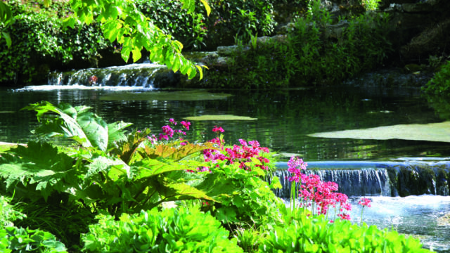 Jardin du Plessis Sasnières