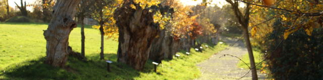 Maison Botanique - Chemin des Trognes