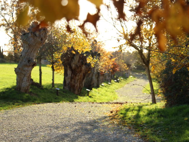 Maison Botanique - Chemin des Trognes