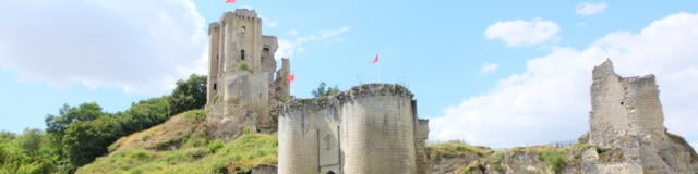 Vue sur le château de Lavardin 