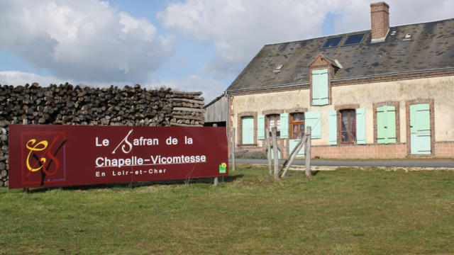 Safran de la Chapelle-Vicomtesse