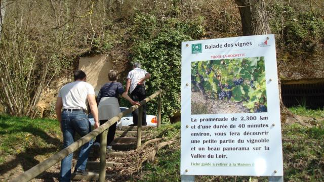 Balade dans les vignes à Thoré La Rochette