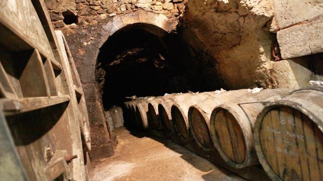 Caves Viticoles