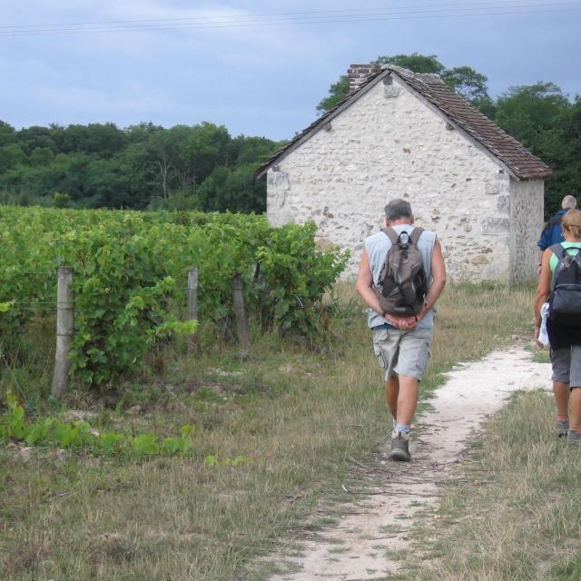 Randonnée dans les vignes à Thoré-La-Rochette