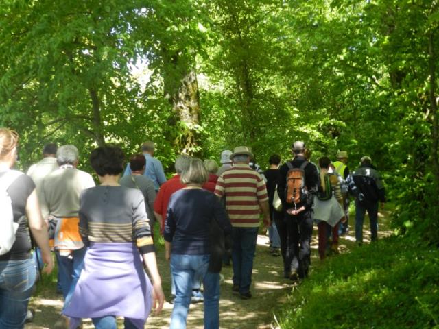 Groupe de randonneurs en Vendômois