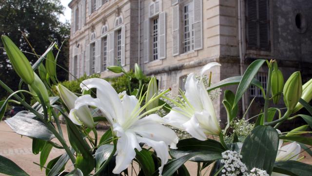 Château De Meslay [de Boisfleury] 2019 (1)