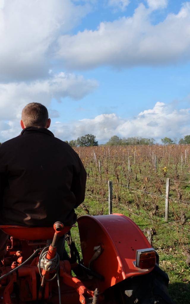 Balade En Tracteur Dans Les Vignes Domaine C. Jumert [c. Gontier Vendôme Tourisme] (9)