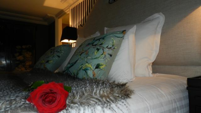 Hôtel Vendôme Avec Une Rose Crédit Ot Pay De Vendôme (38)
