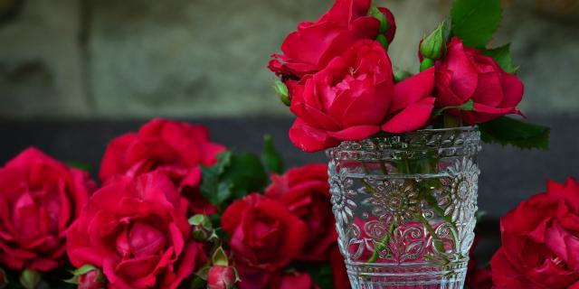 Roses 821705 1920