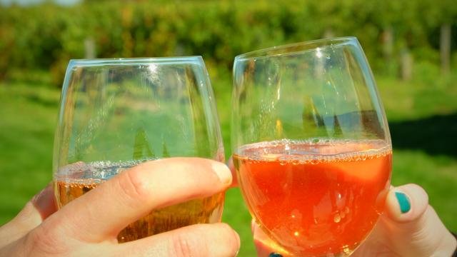 Vin Pente Des Coutis Vendôme [ot Pays De Vendôme] (1)