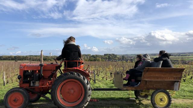 Balade En Tracteur Dans Les Vignes Domaine C. Jumert
