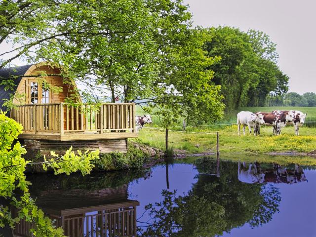 Cabane Pod à la Ferme du Bois Neuf à La Chapelle Vicomtesse