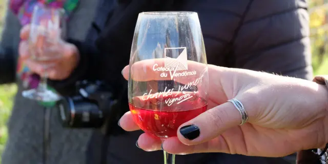 Balade dégustation dans les vignes