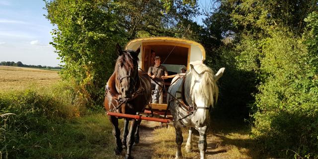 Roulotte itinérante Ferme Des Haies