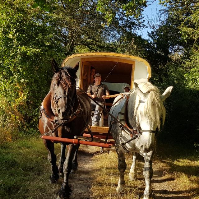 Roulotte itinérante Ferme Des Haies