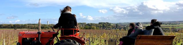 Balade En Tracteur Dans Les Vignes Domaine C. Jumert [c. Gontier Vendôme Tourisme]