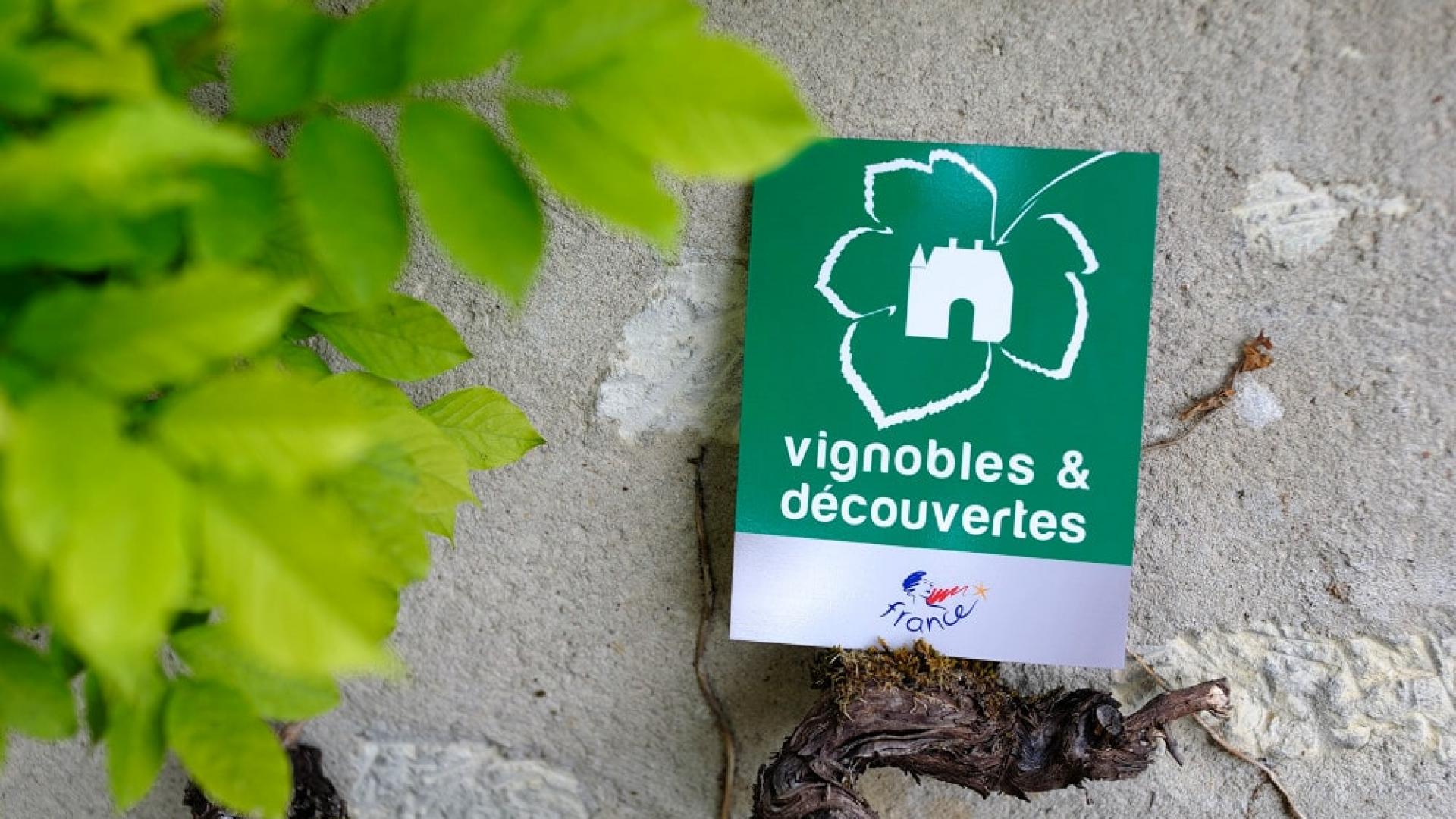 Vignobles Et Decouvertes
