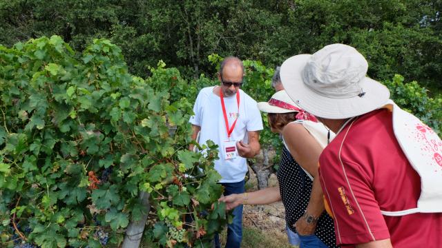 En rando avec nos vignerons